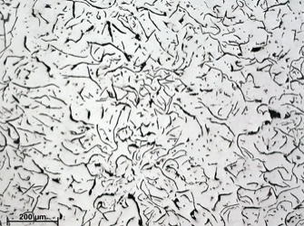 Microestructura fundición gris Microestructura fundición gris